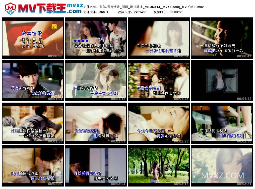 张郎-鸳鸯情歌_国语_流行歌曲_MB203414